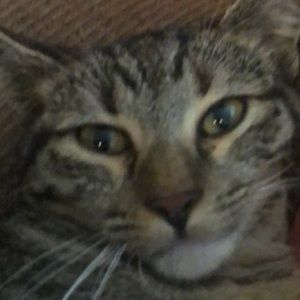 Meet your Posher, Emma